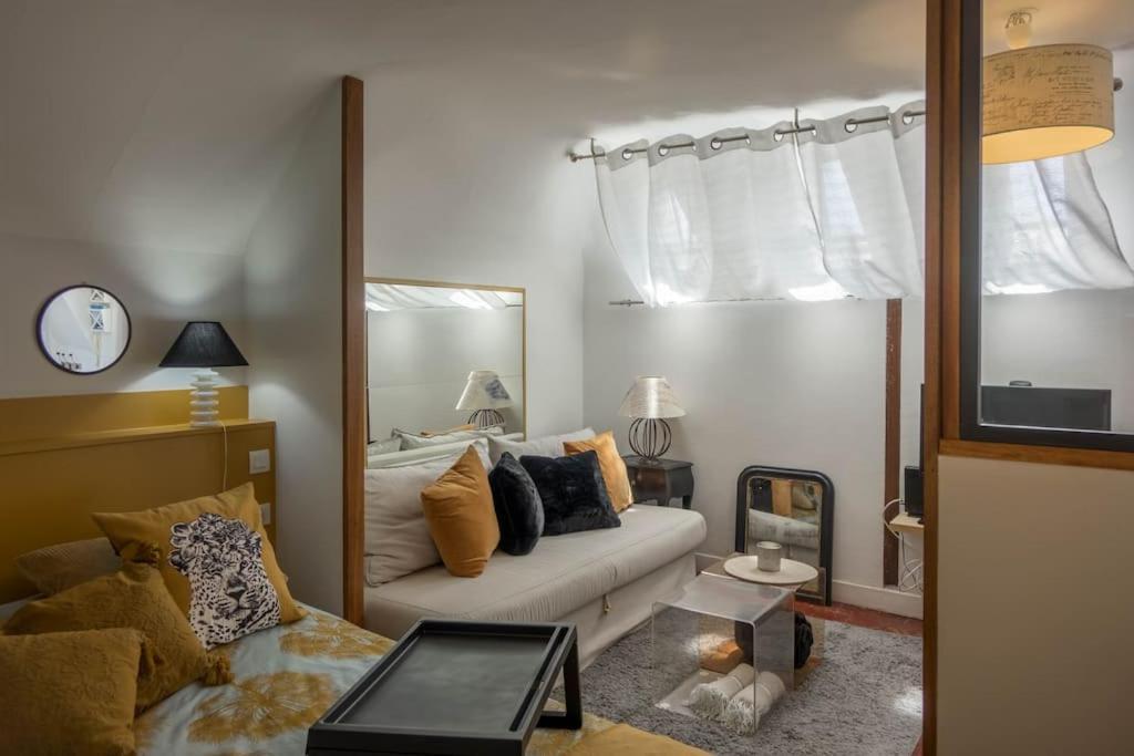 Le Sainte Anne *Studio* Apartment ออร์เลออง ภายนอก รูปภาพ