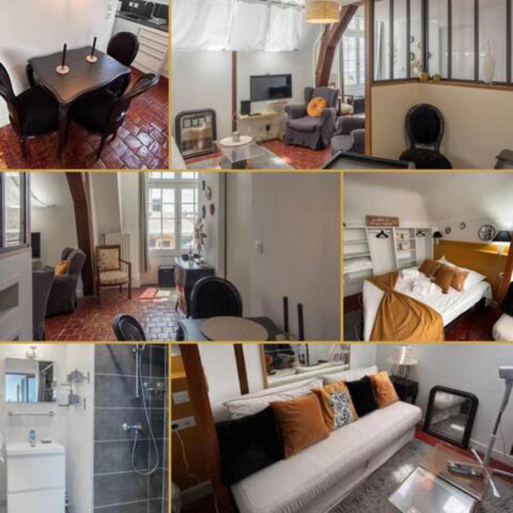 Le Sainte Anne *Studio* Apartment ออร์เลออง ภายนอก รูปภาพ